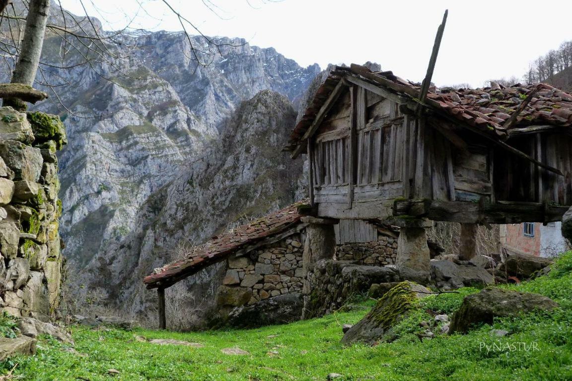 Ferienwohnung La Nana Del Mar / The Lullaby Of The Sea On Old Harbour Cudillero Exterior foto