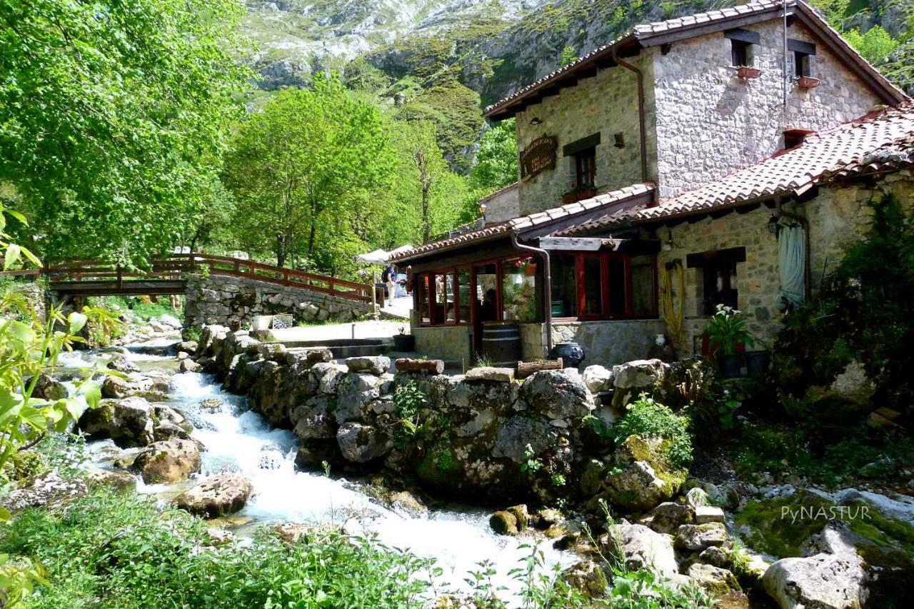 Ferienwohnung La Nana Del Mar / The Lullaby Of The Sea On Old Harbour Cudillero Exterior foto
